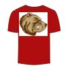 Adult Stars & Stripes T-Shirt Thumbnail