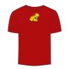 Adult Stars & Stripes T-Shirt Thumbnail