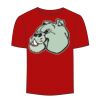 Adult Stars & Stripes T-Shirt Thumbnail