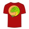 Adult Stars & Stripes T-Shirt Thumbnail