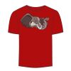 Adult Stars & Stripes T-Shirt Thumbnail