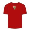 Adult Stars & Stripes T-Shirt Thumbnail