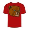 Adult Stars & Stripes T-Shirt Thumbnail