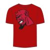 Adult Stars & Stripes T-Shirt Thumbnail