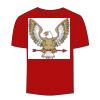 Adult Stars & Stripes T-Shirt Thumbnail