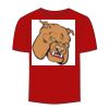 Adult Stars & Stripes T-Shirt Thumbnail