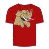 Adult Stars & Stripes T-Shirt Thumbnail