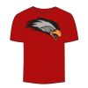 Adult Stars & Stripes T-Shirt Thumbnail