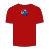 Adult Stars & Stripes T-Shirt Thumbnail