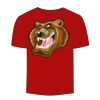 Adult Stars & Stripes T-Shirt Thumbnail