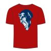 Adult Stars & Stripes T-Shirt Thumbnail