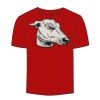 Adult Stars & Stripes T-Shirt Thumbnail