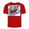 Adult Stars & Stripes T-Shirt Thumbnail