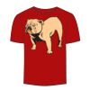 Adult Stars & Stripes T-Shirt Thumbnail