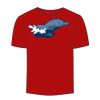 Adult Stars & Stripes T-Shirt Thumbnail