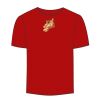 Adult Stars & Stripes T-Shirt Thumbnail