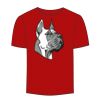 Adult Stars & Stripes T-Shirt Thumbnail