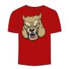 Adult Stars & Stripes T-Shirt Thumbnail