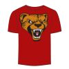 Adult Stars & Stripes T-Shirt Thumbnail
