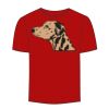 Adult Stars & Stripes T-Shirt Thumbnail