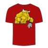 Adult Stars & Stripes T-Shirt Thumbnail