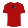 Adult Stars & Stripes T-Shirt Thumbnail