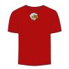 Adult Stars & Stripes T-Shirt Thumbnail
