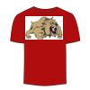 Adult Stars & Stripes T-Shirt Thumbnail