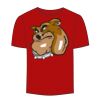 Adult Stars & Stripes T-Shirt Thumbnail