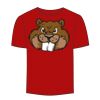 Adult Stars & Stripes T-Shirt Thumbnail