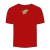 Adult Stars & Stripes T-Shirt Thumbnail