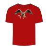 Adult Stars & Stripes T-Shirt Thumbnail