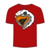 Adult Stars & Stripes T-Shirt Thumbnail