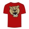 Adult Stars & Stripes T-Shirt Thumbnail