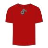 Adult Stars & Stripes T-Shirt Thumbnail