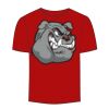 Adult Stars & Stripes T-Shirt Thumbnail