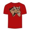 Adult Stars & Stripes T-Shirt Thumbnail