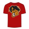 Adult Stars & Stripes T-Shirt Thumbnail