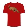 Adult Stars & Stripes T-Shirt Thumbnail