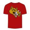 Adult Stars & Stripes T-Shirt Thumbnail