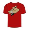 Adult Stars & Stripes T-Shirt Thumbnail