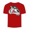 Adult Stars & Stripes T-Shirt Thumbnail