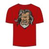Adult Stars & Stripes T-Shirt Thumbnail