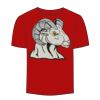 Adult Stars & Stripes T-Shirt Thumbnail