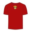 Adult Stars & Stripes T-Shirt Thumbnail