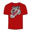 Adult Stars & Stripes T-Shirt Thumbnail