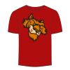 Adult Stars & Stripes T-Shirt Thumbnail