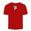 Adult Stars & Stripes T-Shirt Thumbnail