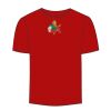Adult Stars & Stripes T-Shirt Thumbnail