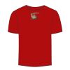 Adult Stars & Stripes T-Shirt Thumbnail